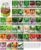 Gardeners Basics Survival Vegetable Seeds Garden Kit Over 16,000 Seeds Non-GMO and Heirloom, Great for Emergency Bugout Survival Gear 35 Varieties Seeds for Planting Vegetables 35 Free Plant Markers